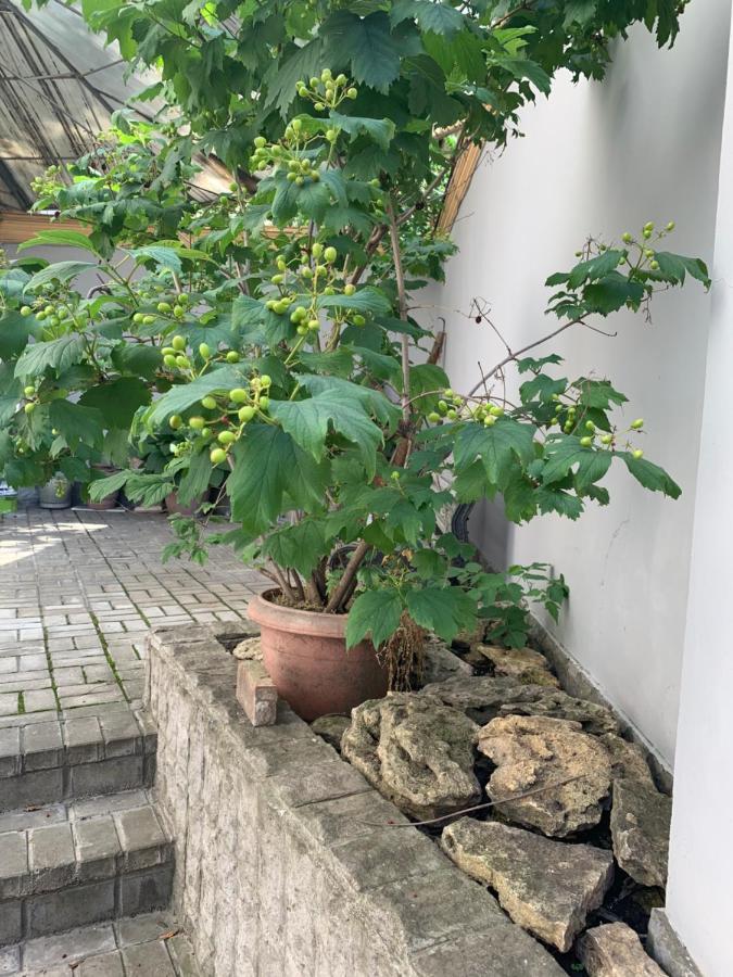 敖德萨 Uneed Sport旅舍 外观 照片